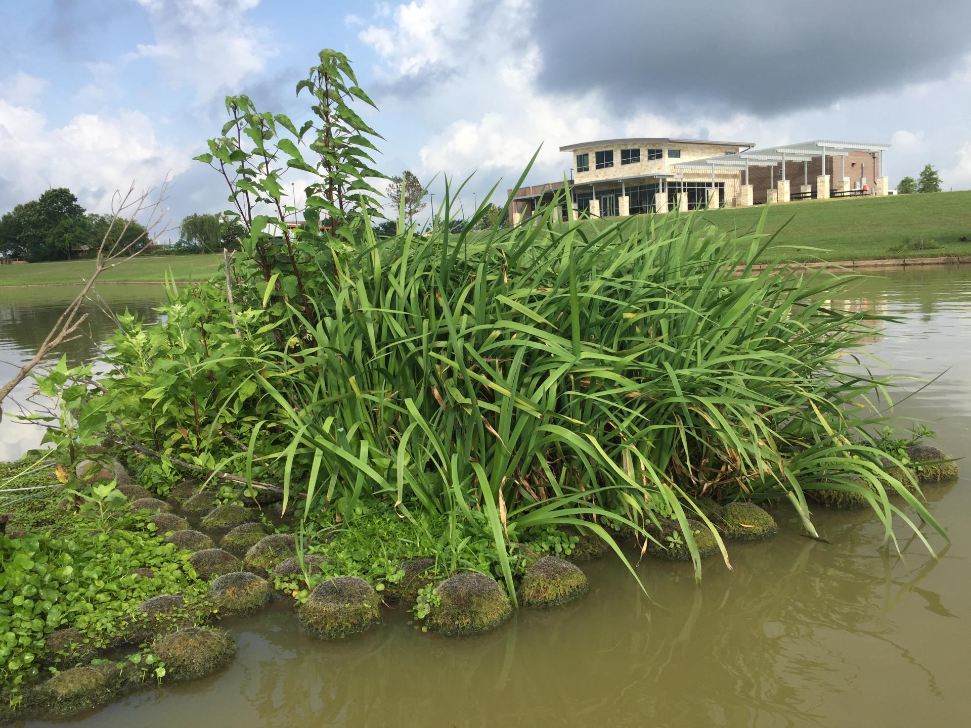 Floating Wetlands - JHEC