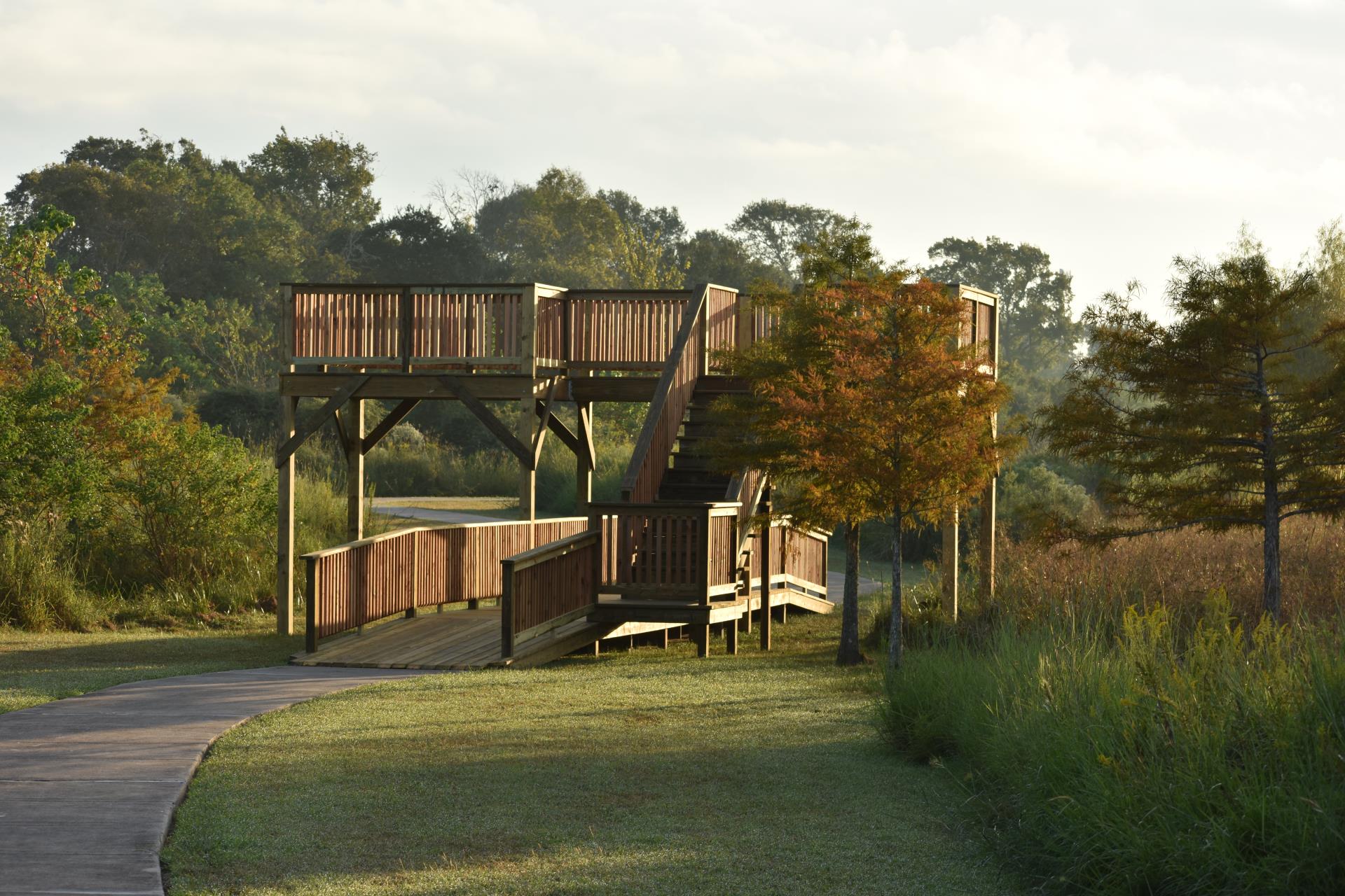 Observation Platform - Nature Trail