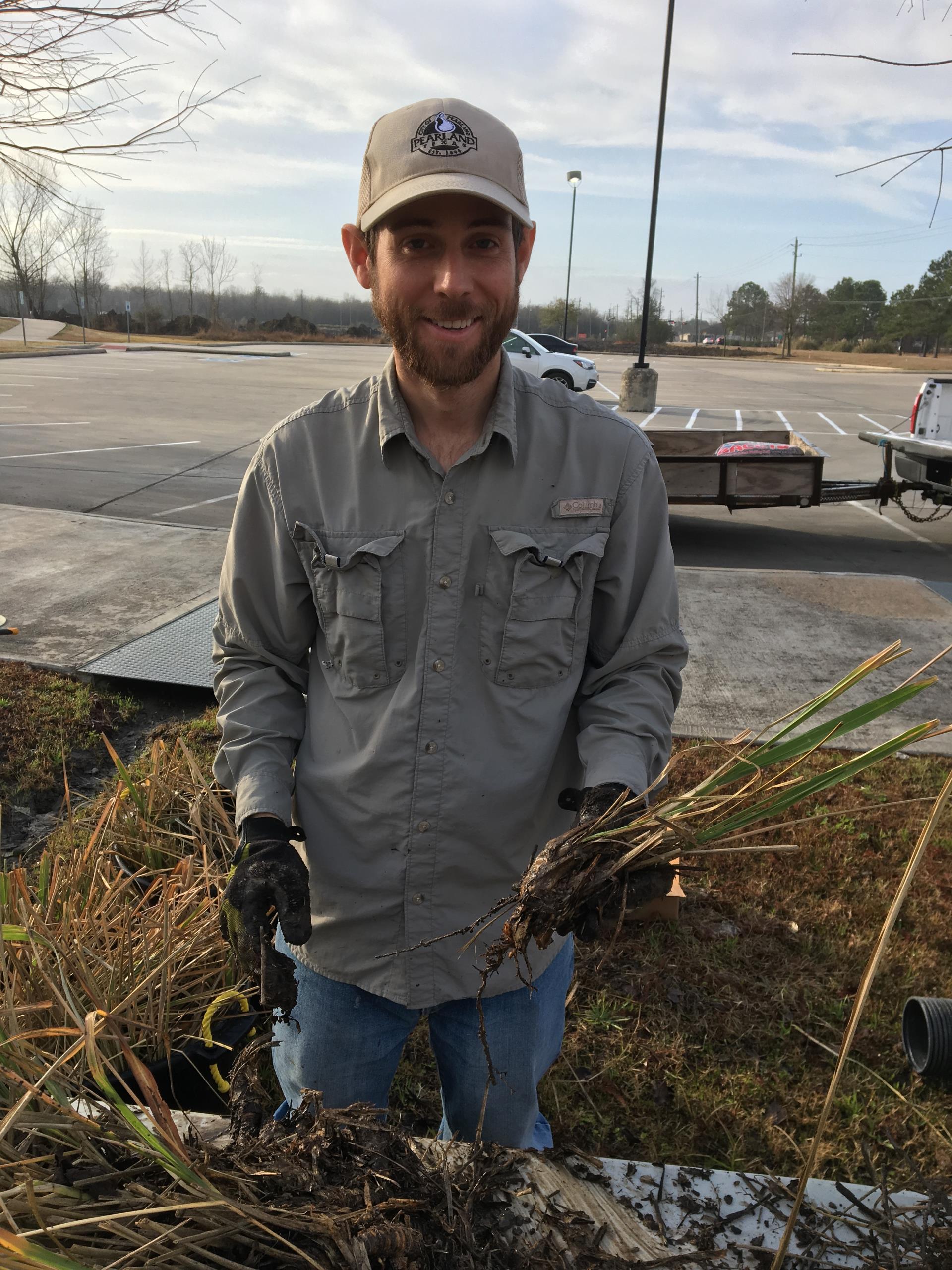 NR Manager Planting