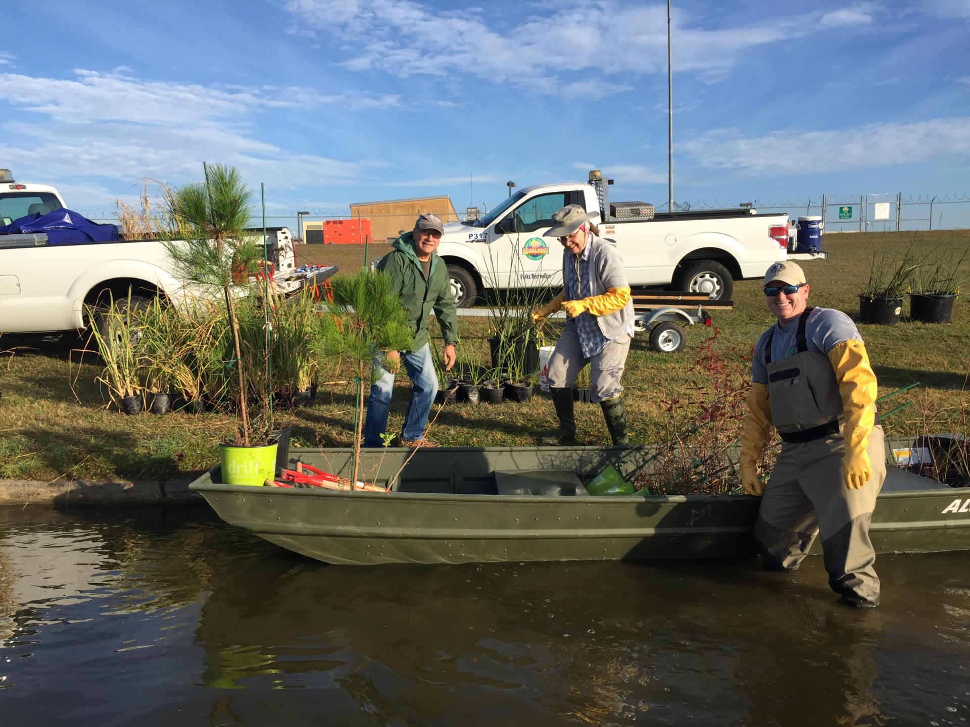 Rookery Planting Shore Vols